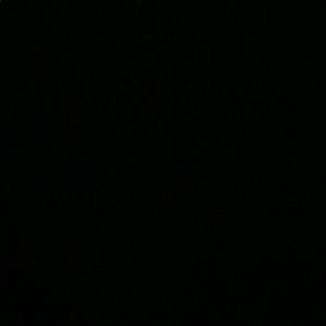 Meet your Posher, Meg